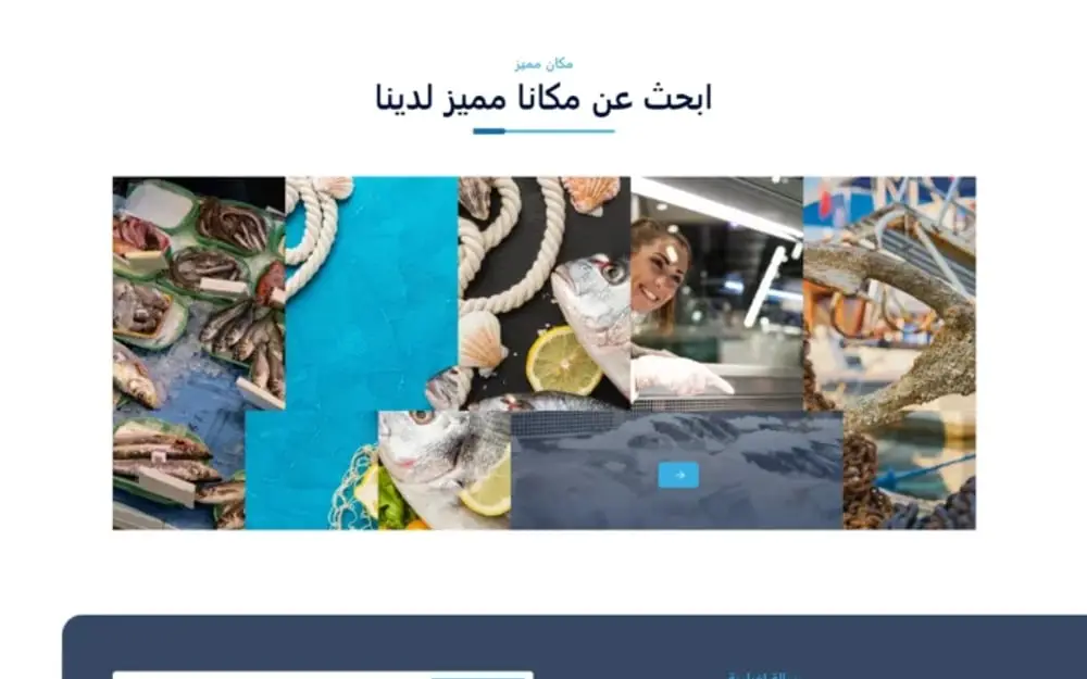 Islam Qandil Fish Trading — Seafood Wholesale Website, UAE — gallery image 4